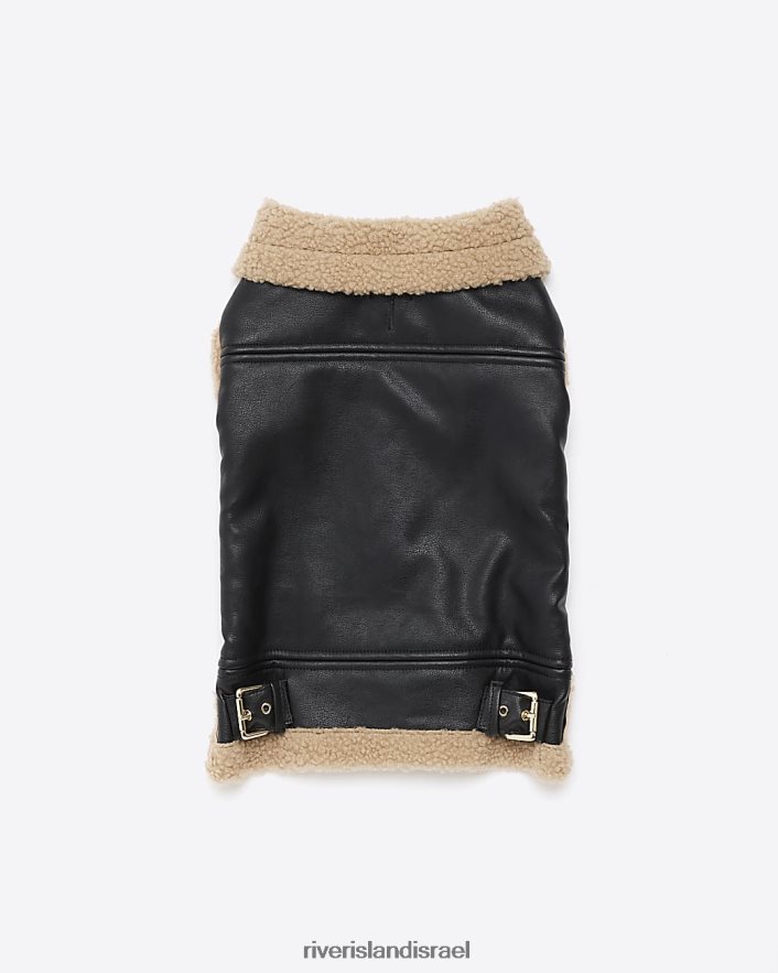 אביזרים River Island עור מלאכותי בורג כלב חום נשים BDZ4084068