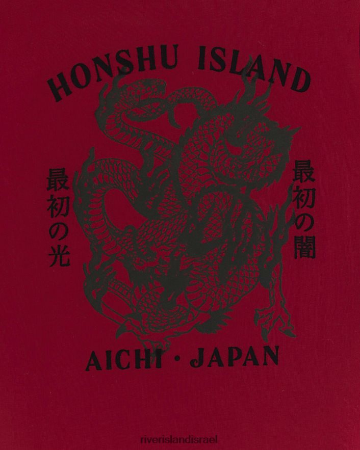 לבוש River Island b חולצת טריקו גרפית דרקון אָדוֹם בנים BDZ4086811